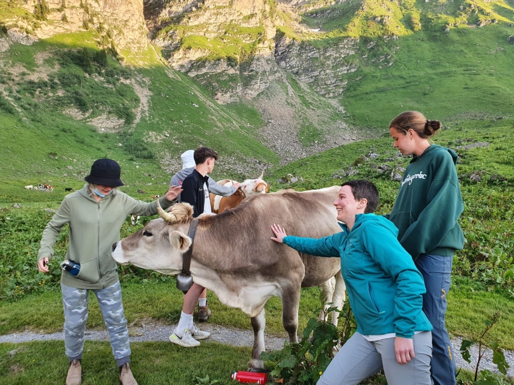 Village Camps International Summer Camp Leysin, Switzerland 2025-08-09 https://www.villagecamps.com/journals_admin/images/2394-2485-250721  (31).jpg